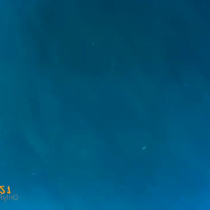Video by morgdanielle published on March 14,2023 13:09:00 - BestThots