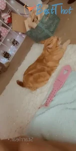 Video by starrleaf published on January 16,2025 17:03:07 - BestThots