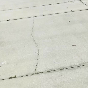 Video by jessicabarton published on August 25,2023 09:01:43 - BestThots