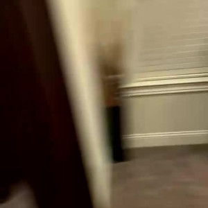 Video by arkcollegegirl published on May 15,2023 12:48:00 - BestThots