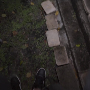 Video by bruno_dickemz published on August 25,2023 09:51:18 - BestThots