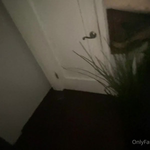 Video by bruno_dickemz published on August 25,2023 10:30:25 - BestThots