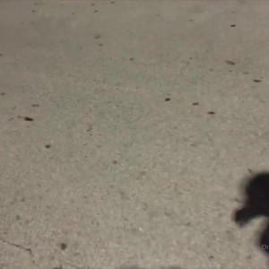 Video by bruno_dickemz published on August 25,2023 10:39:44 - BestThots