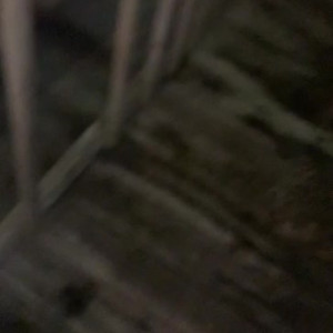 Video by bruno_dickemz published on August 25,2023 10:53:38 - BestThots