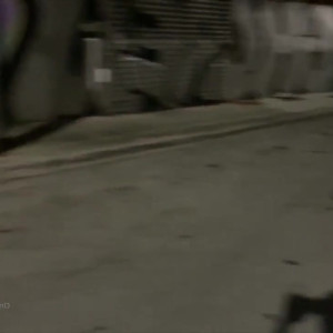 Video by bruno_dickemz published on June 25,2023 18:43:00 - BestThots