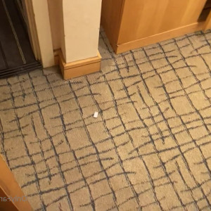 Video by bruno_dickemz published on March 2,2023 09:20:00 - BestThots