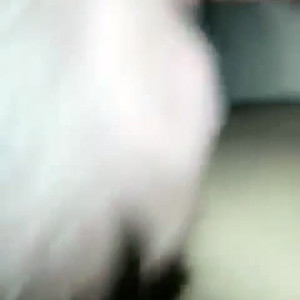 Video by justinstonexxx published on May 17,2023 08:46:00 - BestThots