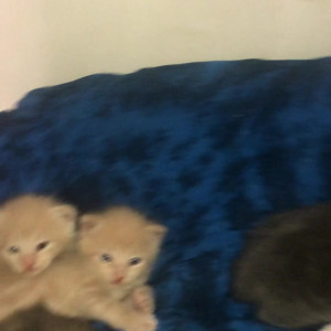 Video by doomednympho published on July 13,2023 21:08:00 - BestThots