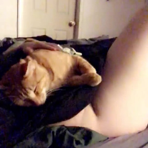 Video by doomednympho published on April 6,2023 12:33:00 - BestThots