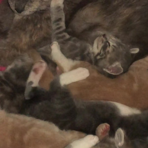 Video by doomednympho published on May 5,2023 18:21:00 - BestThots