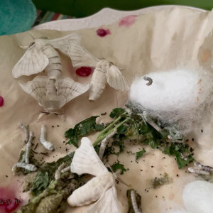 Video by maihero published on July 21,2023 10:24:00 - BestThots