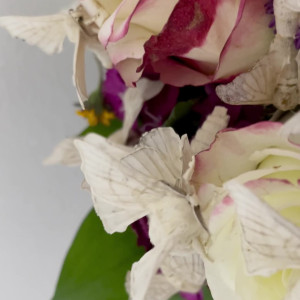 Video by maihero published on August 7,2023 14:39:00 - BestThots