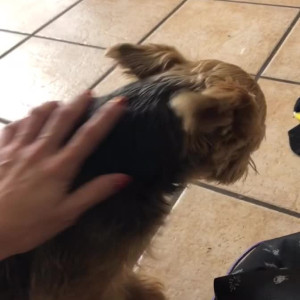 Video by maihero published on April 23,2023 09:56:00 - BestThots