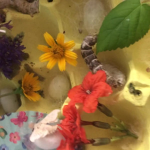 Video by maihero published on July 12,2023 19:06:00 - BestThots