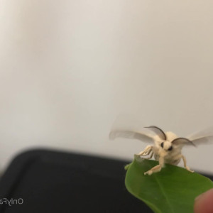 Video by maihero published on July 31,2023 00:53:00 - BestThots