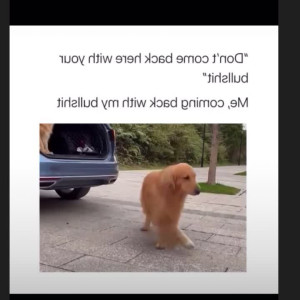 Video by maihero published on April 26,2023 10:32:00 - BestThots