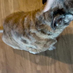 Video by maihero published on August 10,2023 22:36:00 - BestThots