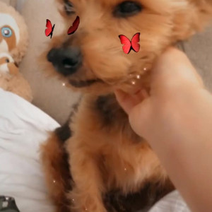 Video by maihero published on July 22,2023 00:49:00 - BestThots