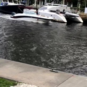 Video by maihero published on July 29,2023 16:01:00 - BestThots