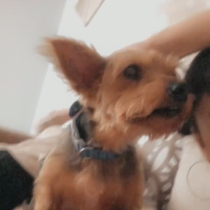 Video by maihero published on June 25,2023 08:43:00 - BestThots