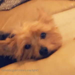Video by maihero published on June 27,2023 17:31:00 - BestThots