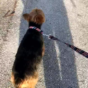 Video by maihero published on May 10,2023 07:27:00 - BestThots
