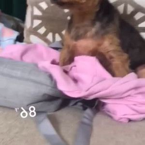 Video by maihero published on August 20,2023 08:44:00 - BestThots