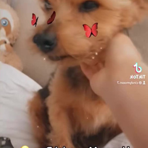Video by maihero published on May 3,2023 14:28:00 - BestThots