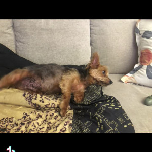 Video by maihero published on July 24,2023 11:53:00 - BestThots