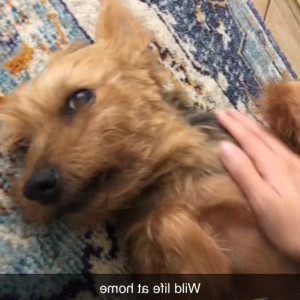 Video by maihero published on May 30,2023 20:22:00 - BestThots