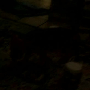 Video by maihero published on May 29,2023 04:30:00 - BestThots