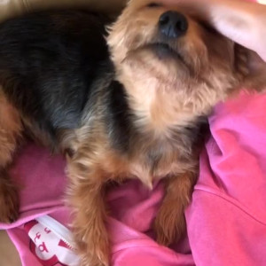 Video by maihero published on August 14,2023 10:31:00 - BestThots