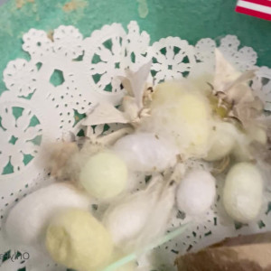 Video by maihero published on July 16,2023 02:15:00 - BestThots