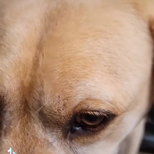 Video by maihero published on April 26,2023 10:33:00 - BestThots