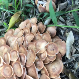 Video by maihero published on July 22,2023 15:46:00 - BestThots