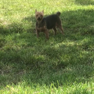 Video by maihero published on August 4,2023 16:03:00 - BestThots