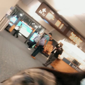 Video by maihero published on July 17,2023 02:42:00 - BestThots