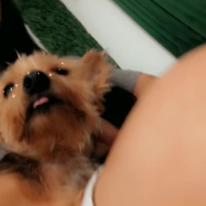 Video by maihero published on July 26,2023 21:42:00 - BestThots