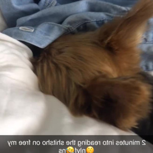 Video by maihero published on May 11,2023 19:47:00 - BestThots