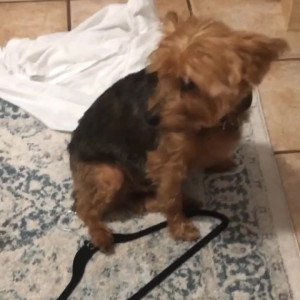 Video by maihero published on July 28,2023 19:18:00 - BestThots