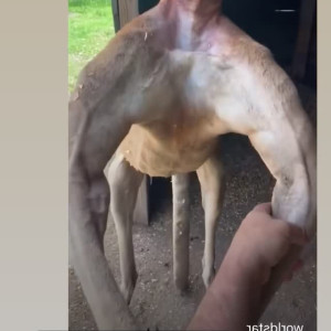 Video by maihero published on June 1,2023 20:04:00 - BestThots