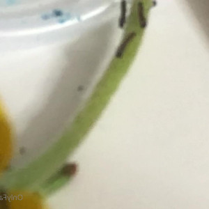 Video by maihero published on August 22,2023 13:32:00 - BestThots