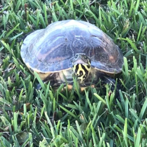 Video by maihero published on August 13,2023 11:19:00 - BestThots