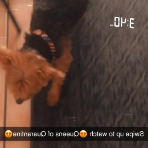 Video by maihero published on August 3,2023 07:12:00 - BestThots