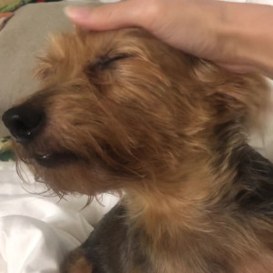 Video by maihero published on July 21,2023 11:21:00 - BestThots