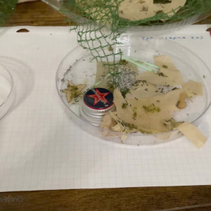 Video by maihero published on August 4,2023 21:36:00 - BestThots