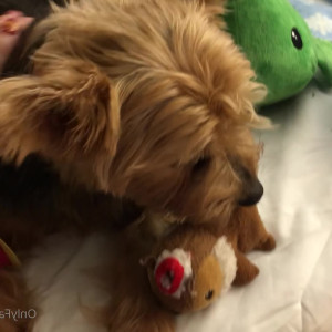 Video by maihero published on May 22,2023 13:09:00 - BestThots