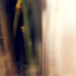 Video by maihero published on June 28,2023 00:01:00 - BestThots