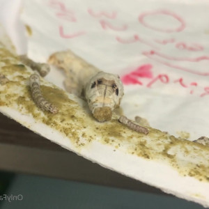 Video by maihero published on July 27,2023 02:06:00 - BestThots