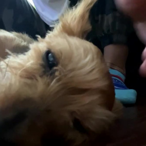 Video by maihero published on May 31,2023 18:24:00 - BestThots